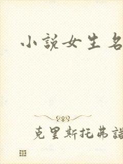 小说女生名字