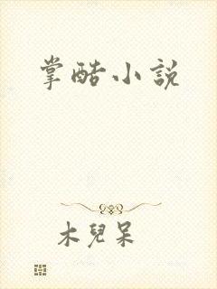 掌酷小说