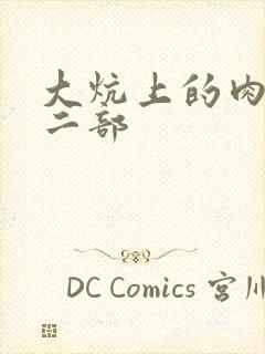 大炕上的肉伦第二部