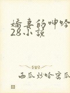 娇妻的呻吟1—28小说