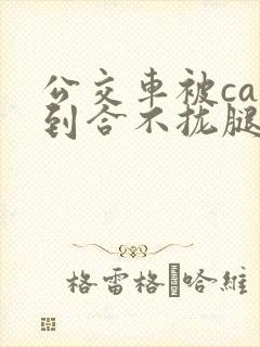 公交车被cao到合不拢腿视频