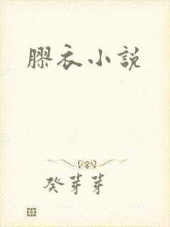 胶衣小说