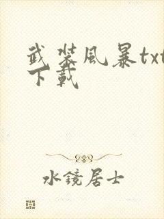 武装风暴txt下载