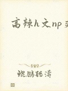 高辣h文np爽