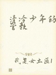 清冷少年的严厉管教