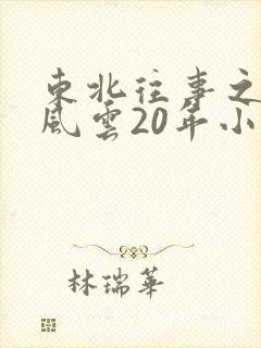 东北往事之黑道风云20年小说