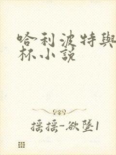 哈利波特与火焰杯小说