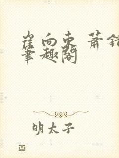 崔向东 萧错 笔趣阁