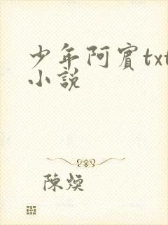 少年阿宾txt小说