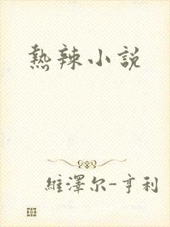 热辣小说