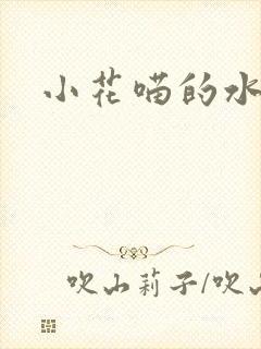 小花喵的水蜜桃