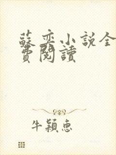 苏奕小说全文免费阅读