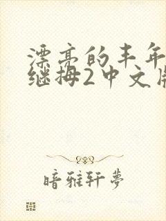 漂亮的丰年经的继拇2中文版