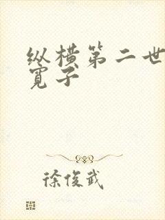 纵横第二世界 宽子