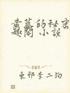 黄蓉的秘密 笔趣阁 小说