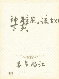 神雕风流txt下载