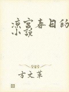 凉宫春日的忧郁小说