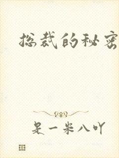 总裁的秘密情人