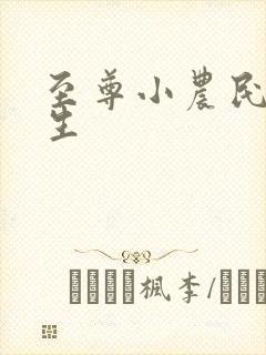 至尊小农民王木生