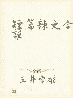 短篇辣文合集小说