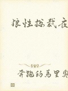 狼性总裁夜欢宠