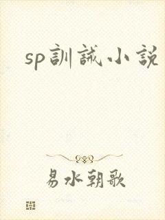 sp训诫小说