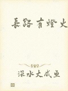 长路有灯火