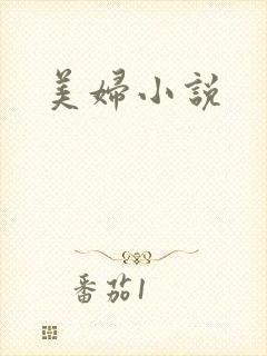 美妇小说