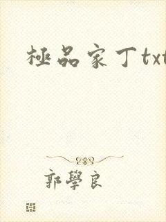 极品家丁txt