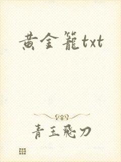 黄金笼txt