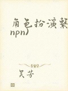 角色扮演系统(npn)