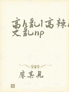 高h乱l高辣h文乱np