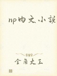 np肉文小说
