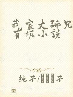 我家大师兄脑子有坑小说