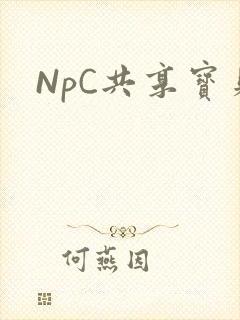 NpC共享宝贝