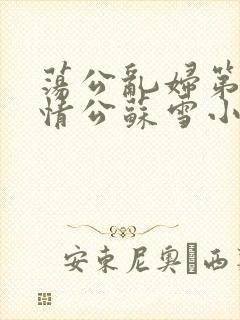 荡公乱妇第1章情公苏雪小说