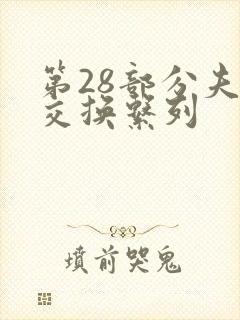 第28部分夫妇交换系列