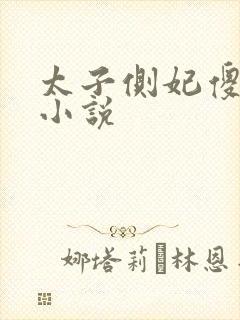 太子侧妃傻乎乎小说