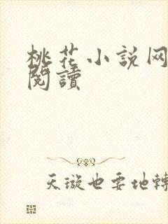 桃花小说网小说阅读