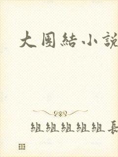 大团结小说全文