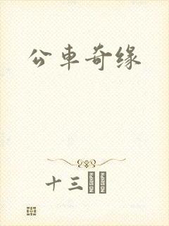 公车奇缘