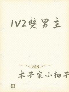 1V2双男主