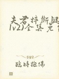 夫君摔断腿后(1v2)全集免费阅读