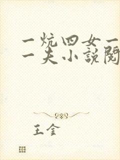 一炕四女一共侍一夫小说阅读