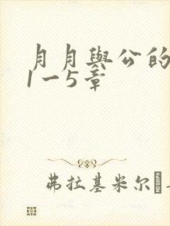 月月与公的激情1一5章