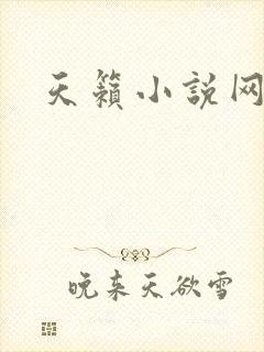 天籁小说网