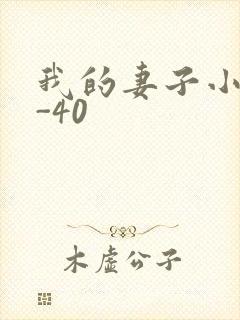 我的妻子小谨1-40