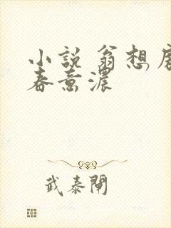 小说 翁想房中春意浓