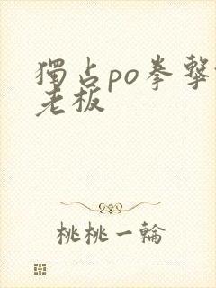 独占po拳击馆老板