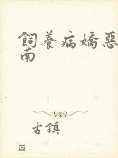 饲养病娇恶龙指南